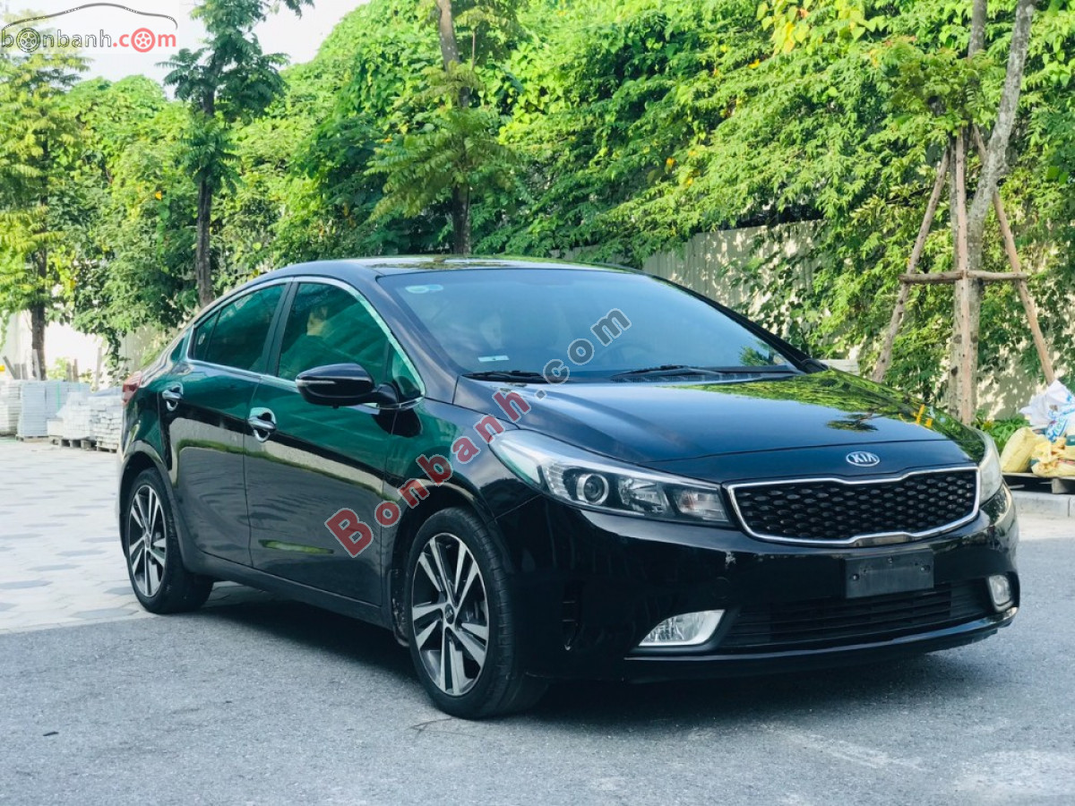 cerato1